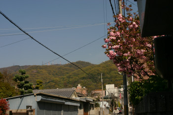 鳥居町から生駒山
